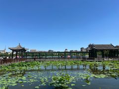 -莲花池公园