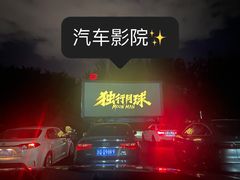 -枫花园汽车电影院(朝阳公园店)