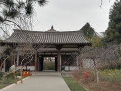 -西安青龙寺遗址景区