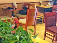 -COSTA COFFEE(中粮祥云店)