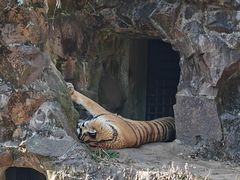 -杭州动物园