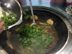 -洪湖家庭农场·团建·露营·会议