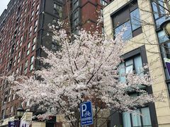 -治愈系甜品The Soothing Dessert(科海大楼店)