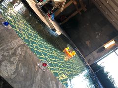-弘安丽水温泉酒店
