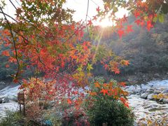 -燕子河大峡谷天坑仙境