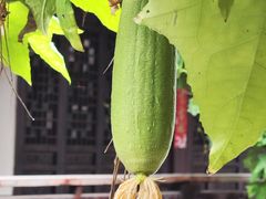 -丝绸小镇荻港古村