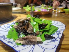 -青海牦牛肉馆