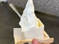 -野人先生Gelato(上海长宁龙之梦店)