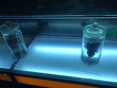 -青岛葡萄酒博物馆