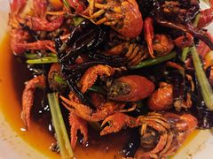 -红盔甲·小龙虾(天钥桥店)