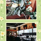 苏州冬季探店笔记 | 书店里的下午茶时光