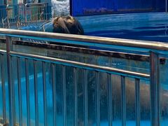 -多彩贵州城极地海洋世界