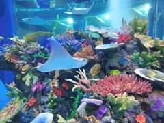 -成都浩海立方海洋公园