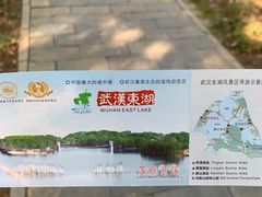 -东湖落雁景区