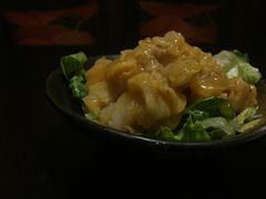 -春草居酒屋·晴子の店