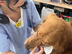 -谐和贝康宠物医院24小时·宠保定点(急重症转诊中心)