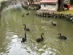 -黔灵山公园