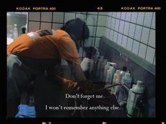-格蕾宠物医院24H·猫科·肿瘤科·骨科中心(福州总院)