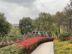 -宁波九龙湖开元度假村