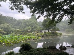 -杭州植物园