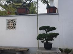 -龙华寺