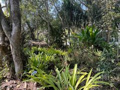 -中国科学院西双版纳热带植物园