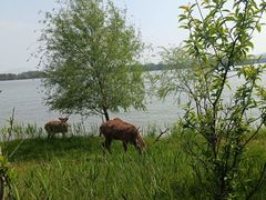 -苏州太湖国家湿地公园