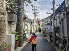 -菊儿人家·北京胡同菜(南锣鼓巷店)