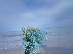 -天津东疆湾沙滩景区