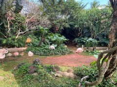 -海南热带野生动植物园