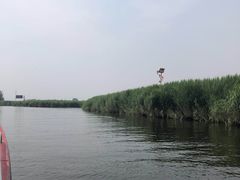 -白洋淀景区
