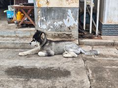 -德宏芒市国际机场