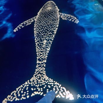 深圳欢乐海岸海洋奇梦馆