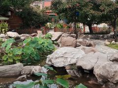 -老村长农家院