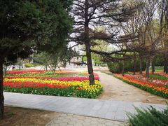 -北京世界公园