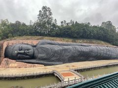 -三水森林公园