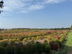景点-嘉北郊野公园