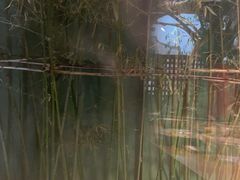 -春记潮汕牛肉火锅