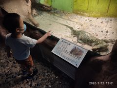 -上海大自然野生昆虫馆(东方明珠·爬宠昆虫探索中心)