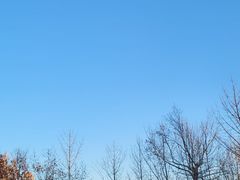 -春晖园度假酒店温泉