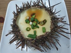 -海胆小馆(东北水饺·春柳店)