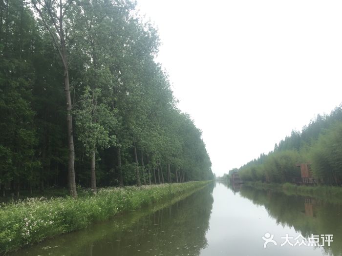 黄海国家森林公园图片