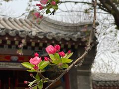 -荣国府