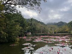-野象谷景区