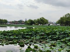 -长春市南湖公园