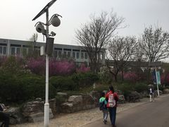 -济南国际园博园