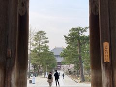 -奈良公园