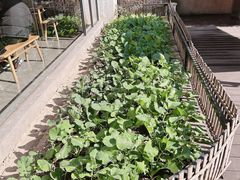 -黄山老妈·土菜(碧桂园店)