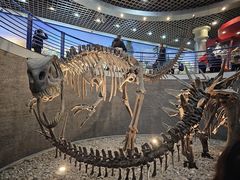 -国家自然博物馆