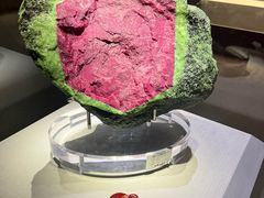 -湖南省地质博物馆